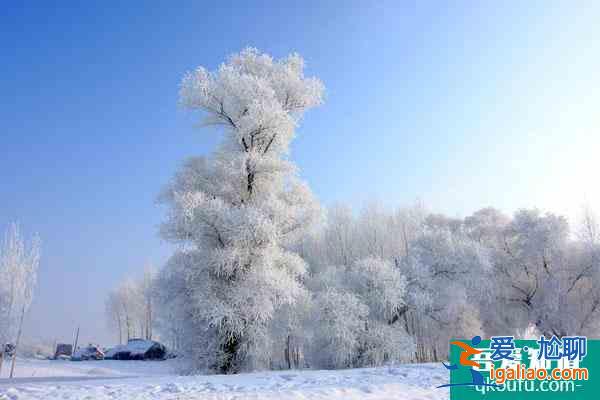 中國看雪最美的地方推薦 國內(nèi)看雪的旅游勝地？