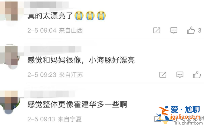 霍建華林心如女兒正臉照曝光 一家三口罕見同框 女兒太像霍建華 霍建華林心如女兒正臉照曝光 一家三口罕見同框 女兒太像霍建華