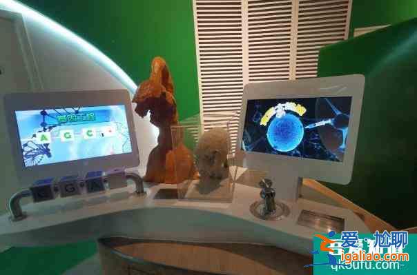2021受疫情影響寧波科學探索中心臨時閉館？