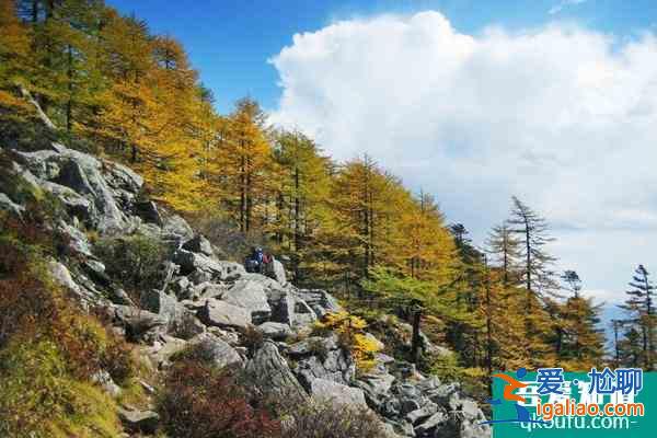 2021陜西太白山景區臨時閉園公告？