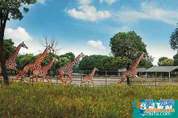 蘭州野生動物園恢復開園時間以及冬季暖心門票持續時間介紹？