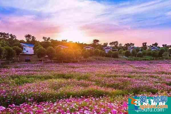 武漢帶孩子必須去22個地方推薦 這些好玩的地方室內室外游樂場都有？