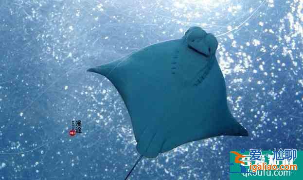 珠海長(zhǎng)隆海洋王國(guó)游玩攻略 2021珠海長(zhǎng)隆門票價(jià)格+優(yōu)惠政策+游玩項(xiàng)目推薦? 珠海長(zhǎng)隆海洋王國(guó)游玩攻略 2021珠海長(zhǎng)隆門票價(jià)格+優(yōu)惠政策+游玩項(xiàng)目推薦?