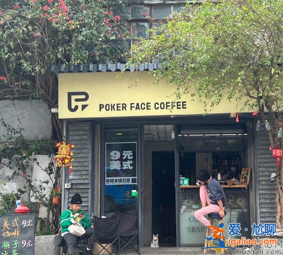 馬伊琍街邊喝咖啡!腳踩高凳坐姿隨性惹爭議 穿拖鞋逗貓咪無明星包袱