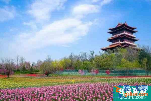 2021鄭州園博園什么時候開放怎么預約? 2021鄭州園博園什么時候開放怎么預約?