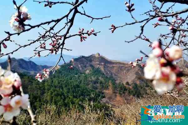 金山嶺長城年票去哪辦?多少錢?？