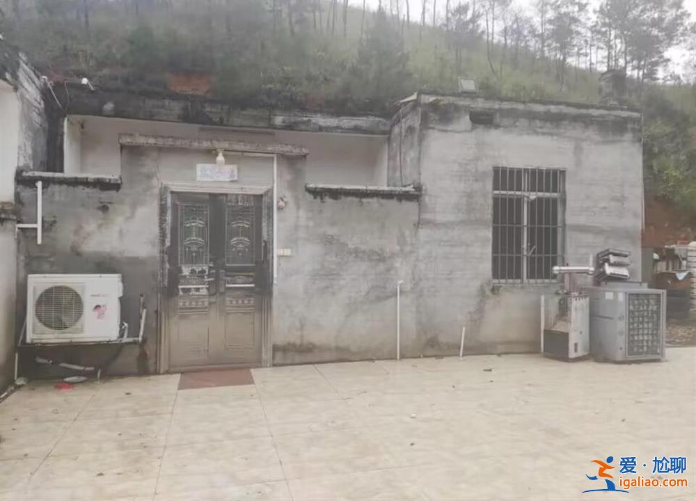 出入口隱蔽 養(yǎng)有兩條看家狗？