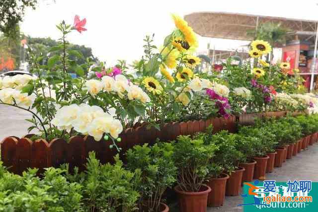 2021觀音山森林公園開放時間 東莞觀音山森林公園開放了嗎? 2021觀音山森林公園開放時間 東莞觀音山森林公園開放了嗎?