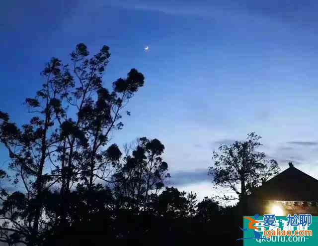 2021觀音山森林公園開放時間 東莞觀音山森林公園開放了嗎? 2021觀音山森林公園開放時間 東莞觀音山森林公園開放了嗎?