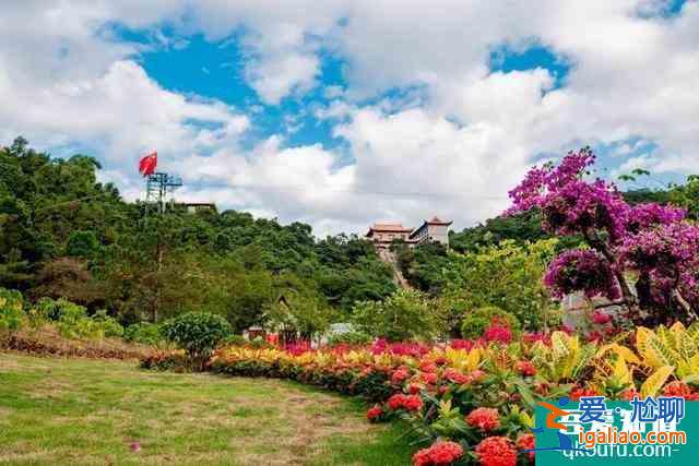 2021觀音山森林公園開放時間 東莞觀音山森林公園開放了嗎? 2021觀音山森林公園開放時間 東莞觀音山森林公園開放了嗎?