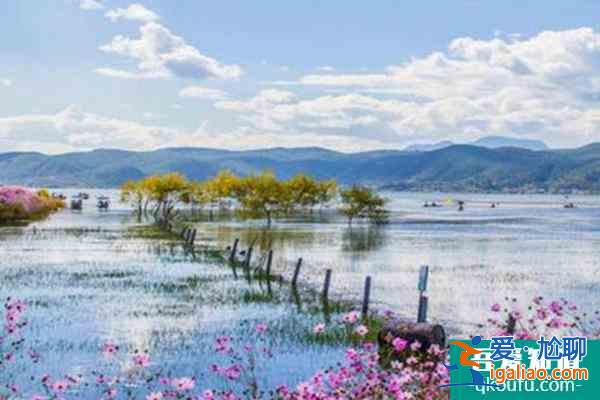 云南中老鐵路什么時候通車？