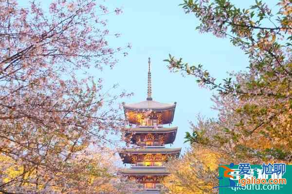 2021東湖磨山景區12月3日起磨山南門將封閉管理？