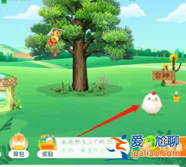 螞蟻莊園小雞皮膚為啥別人有自己沒有？