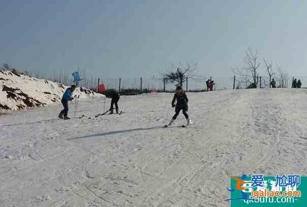 2021洛陽新伊龍國際滑雪場營業時間？