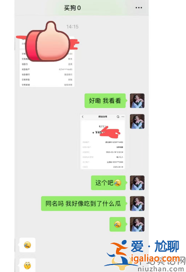 王思聰最新情況!花四萬五買狗討好小肉安 雙方感情穩定讓人羨慕