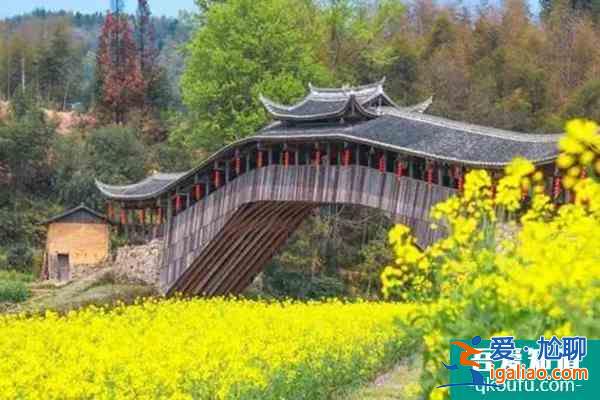 溫州泰順旅游景點哪里好玩？