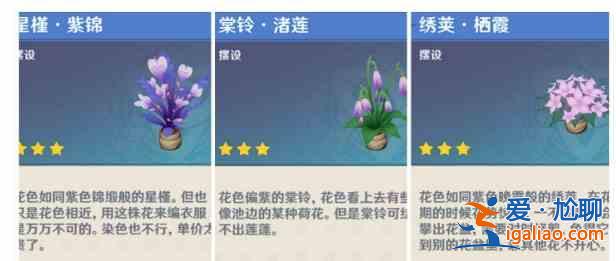 原神夢里生花任務攻略分享：夢里生花任務流程細節分析？