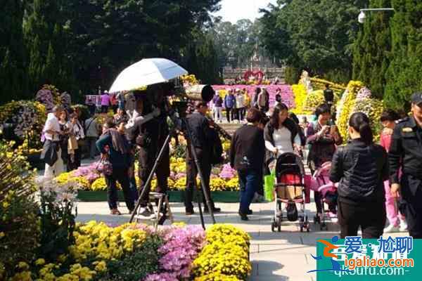 2021廣州黃花崗第七屆黃花文化節舉辦時間+地點+門票？