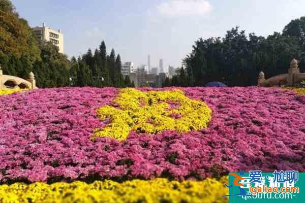 2021廣州黃花崗菊花展舉辦時間? 2021廣州黃花崗菊花展舉辦時間?