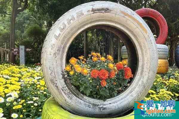 2021青秀山菊花展舉辦時間及地址？