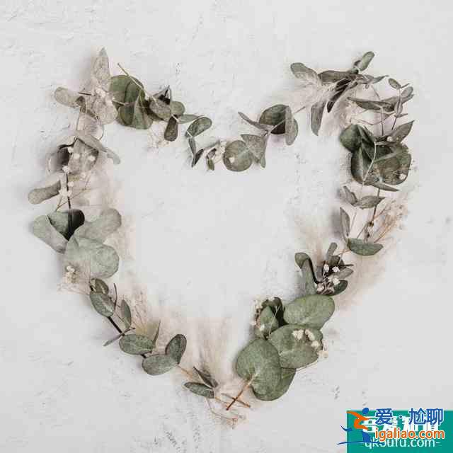 別看《雖然是精神病但沒關系》,會愛上!上頭? 別看《雖然是精神病但沒關系》,會愛上!上頭?