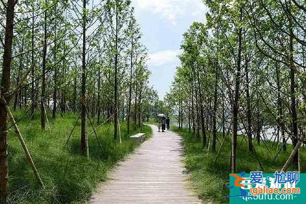 福州旗山湖公園游玩指南？