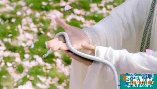 《琉璃》網友都說追定了，與《花千骨》同為女性仙俠？