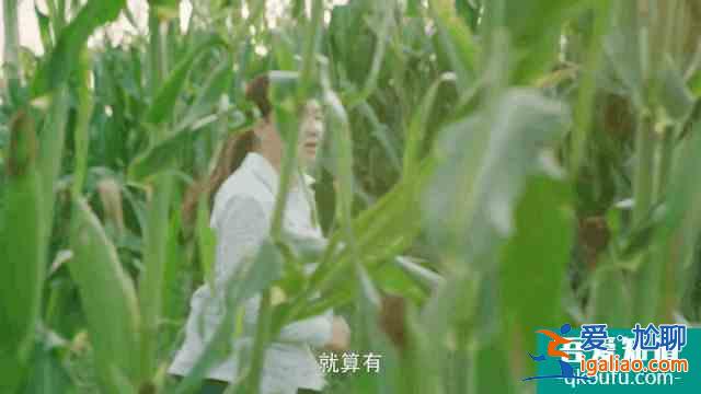 《楓葉紅了》提檔播出，孫茜用“劇拋臉”演技扛起了央視大女主？