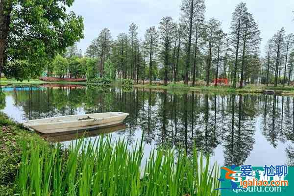 東湖風景區旅游攻略 搞清楚7條線暢玩整個東湖？
