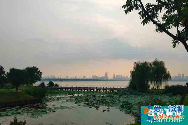 東湖風景區旅游攻略 搞清楚7條線暢玩整個東湖？