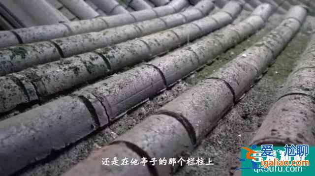 青春校園+現代古風，《漂亮書生》如何與年輕人“同頻共振”？？