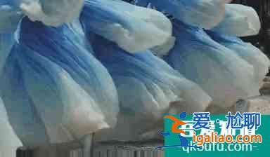 青春校園+現代古風，《漂亮書生》如何與年輕人“同頻共振”？？