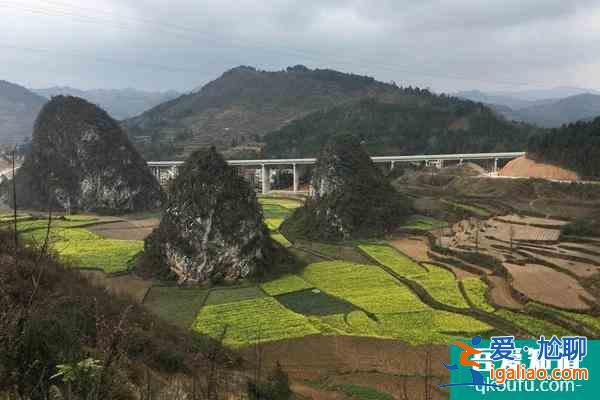 安順因疫情原因1月29日起多個景區閉園、活動取消？