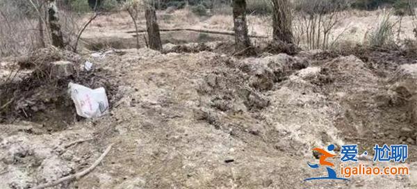 鋰都宜春被爆盜采鋰礦亂象 碳酸鋰價格有望止跌回升？