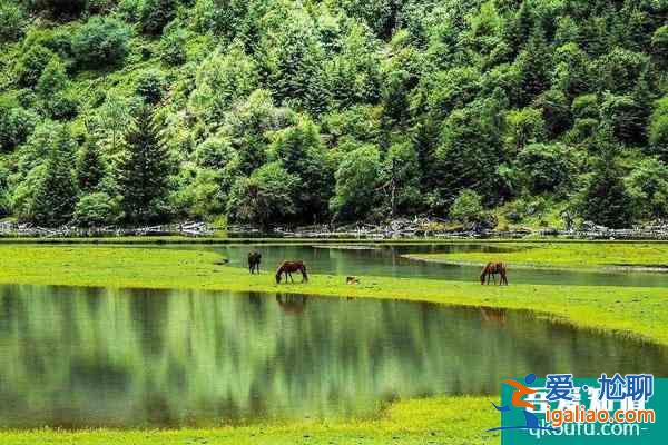 樂山黑竹溝景區(qū)周邊住宿及門票價格？