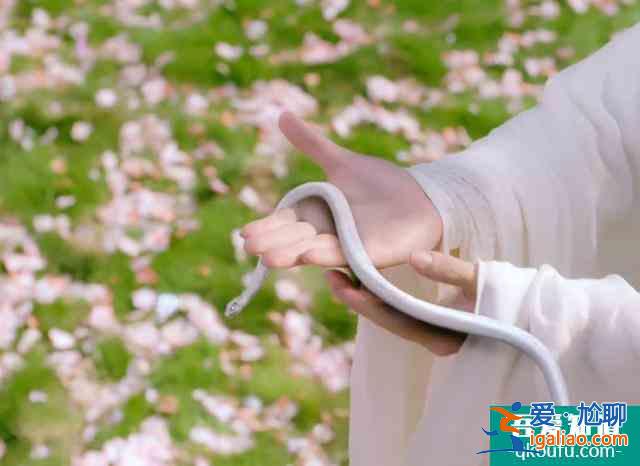 《琉璃》開播，特效虛假，劇情俗套，它能爆嗎？？