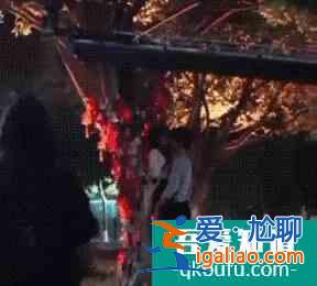 《以家人之名》受追捧，但劇本需規避一個隱患，才能力爭今夏爆款？