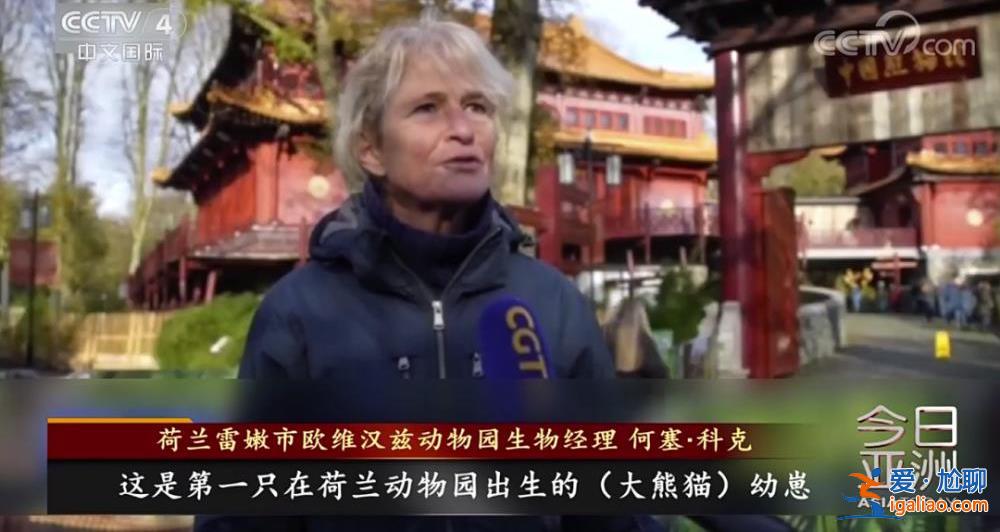除皮膚病導致的毛發脫落外 食欲良好？