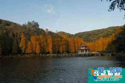 仙湖植物園春節期間開園閉園時間(附預約教程)？