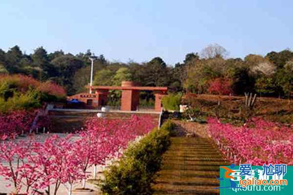 南昌灣里磨盤山森林公園特色玩法？