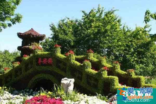12月1日起烏魯木齊植物園免費對外開放的通知？