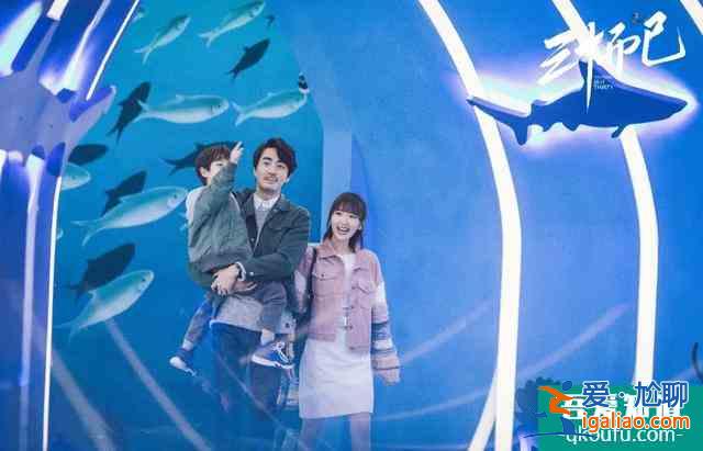 女性成長沒有框框，《三十而已》更愿你自己做出選擇？