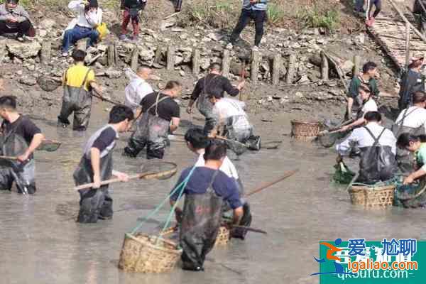 2021西溪濕地干塘節時間及門票？