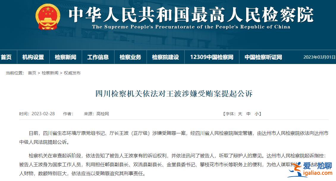 四川省生態環境廳原廳長王波被公訴 6年前在槍擊案后接任攀枝花市長？