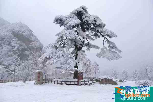 2021西安翠華山滑雪場開放時間及早鳥票詳情？