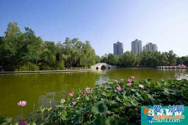 2021西安豐慶公園需要門票嗎？