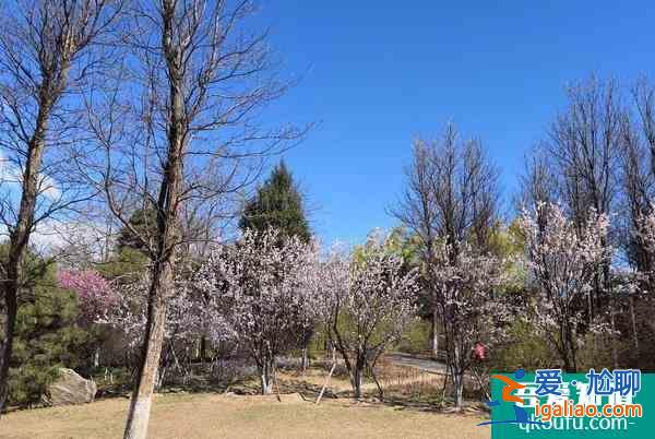 2021因籌辦冬奧會北京奧林匹克公園中心區暫時關閉？