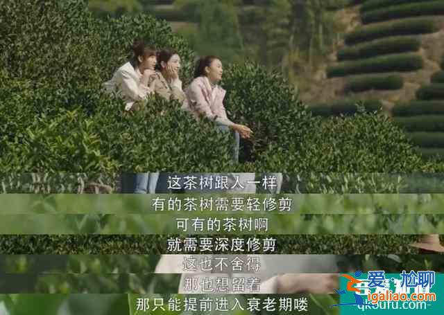 《三十而已》大結(jié)局：誰是最可悲的人？？