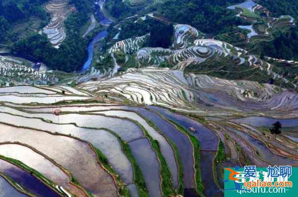 2021貴州恢復跨省團隊旅游業務11月？