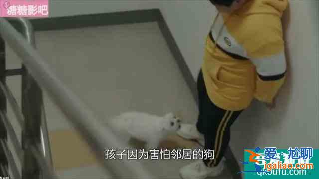 警察妻子愛上殺人犯老公，李準基最新韓劇《惡之花》來了？